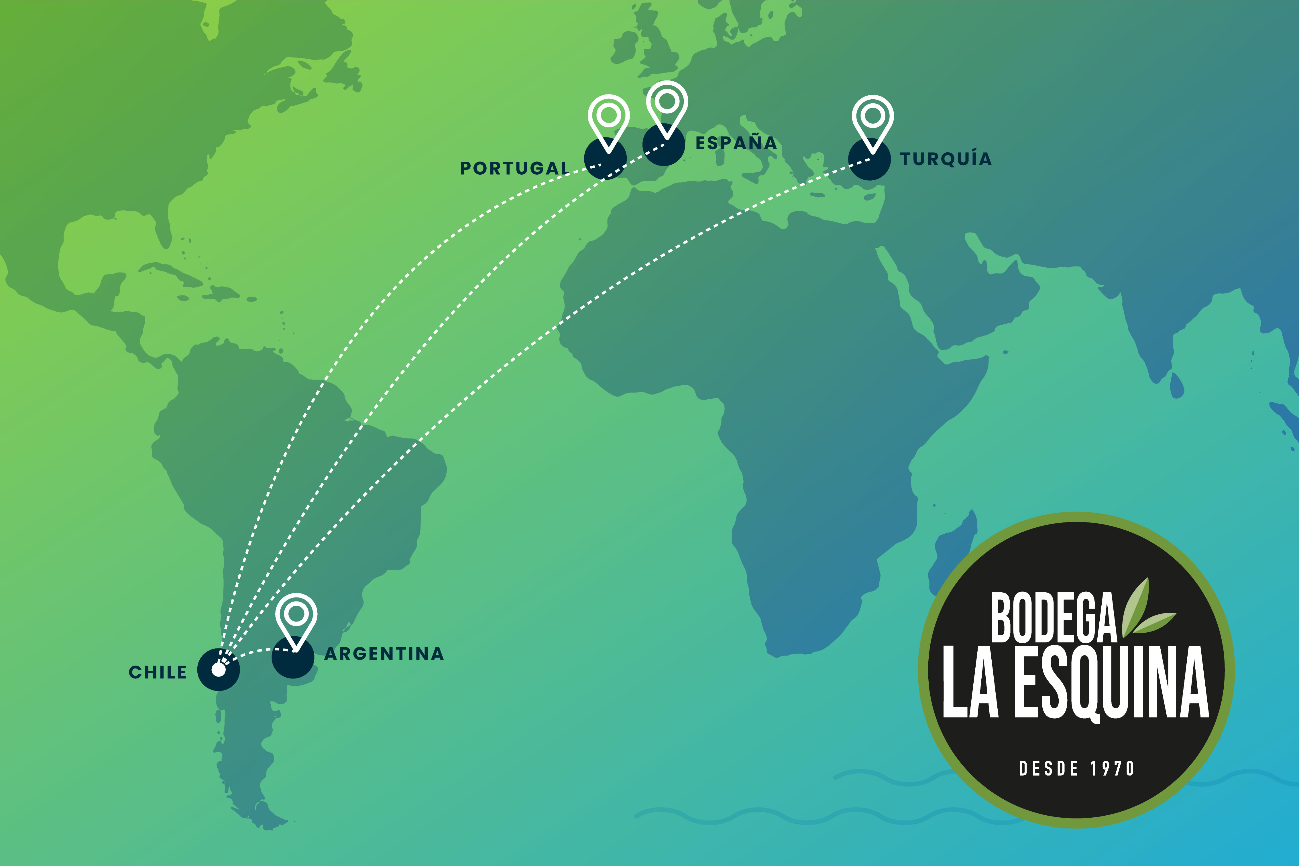 variedad de aceitunas